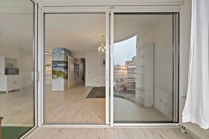 Foto 16 van Palaceplein 219