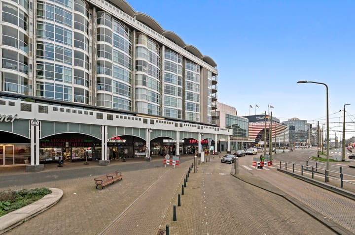 Foto 43 van Palaceplein 219