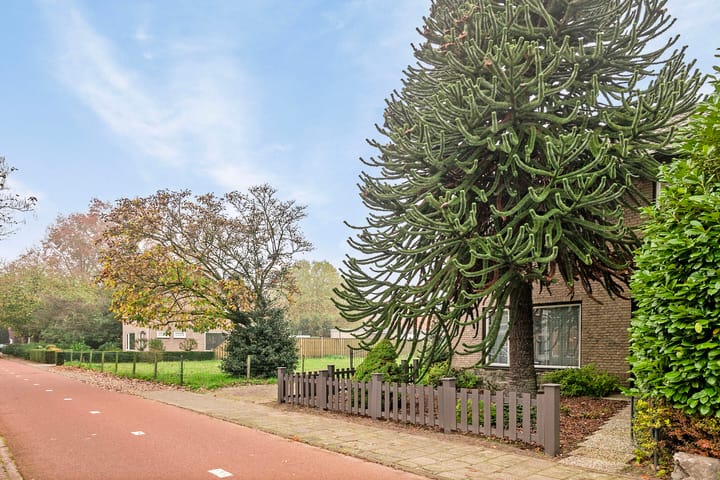 Foto 6 van Lucas Gasselstraat 23