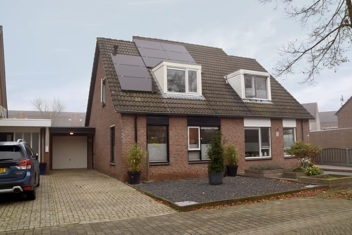 Foto 5 van Kleefkruid 48