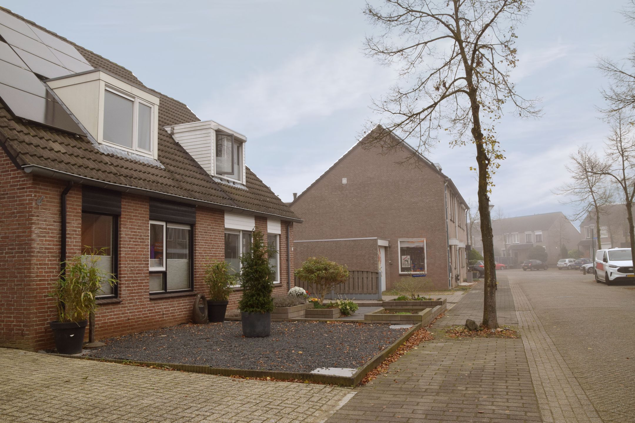 Foto 6 van Kleefkruid 48