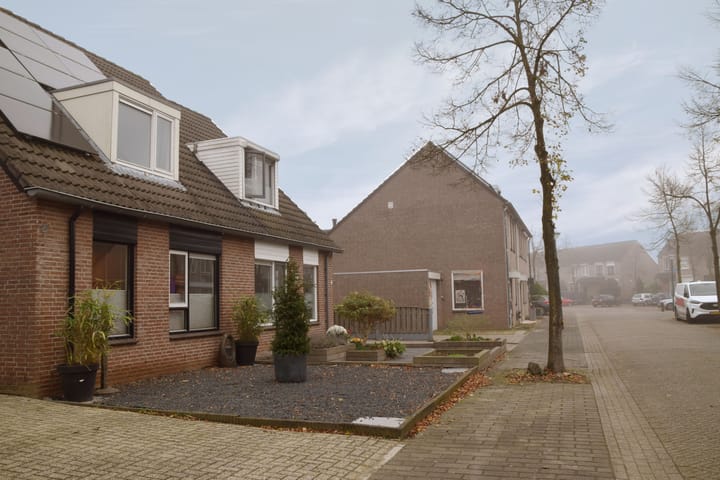 Foto 6 van Kleefkruid 48