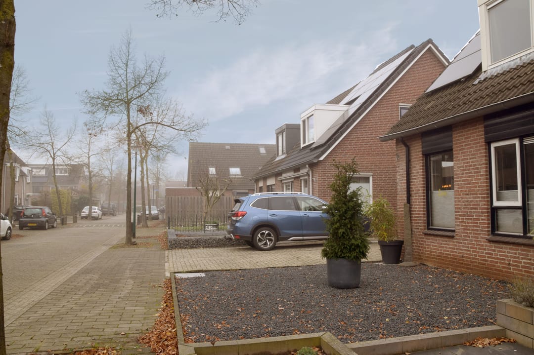 Foto 8 van Kleefkruid 48