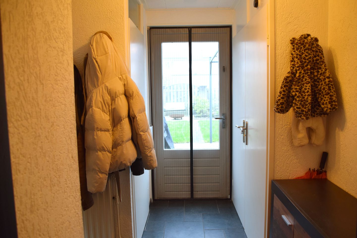 Foto 10 van Kleefkruid 48