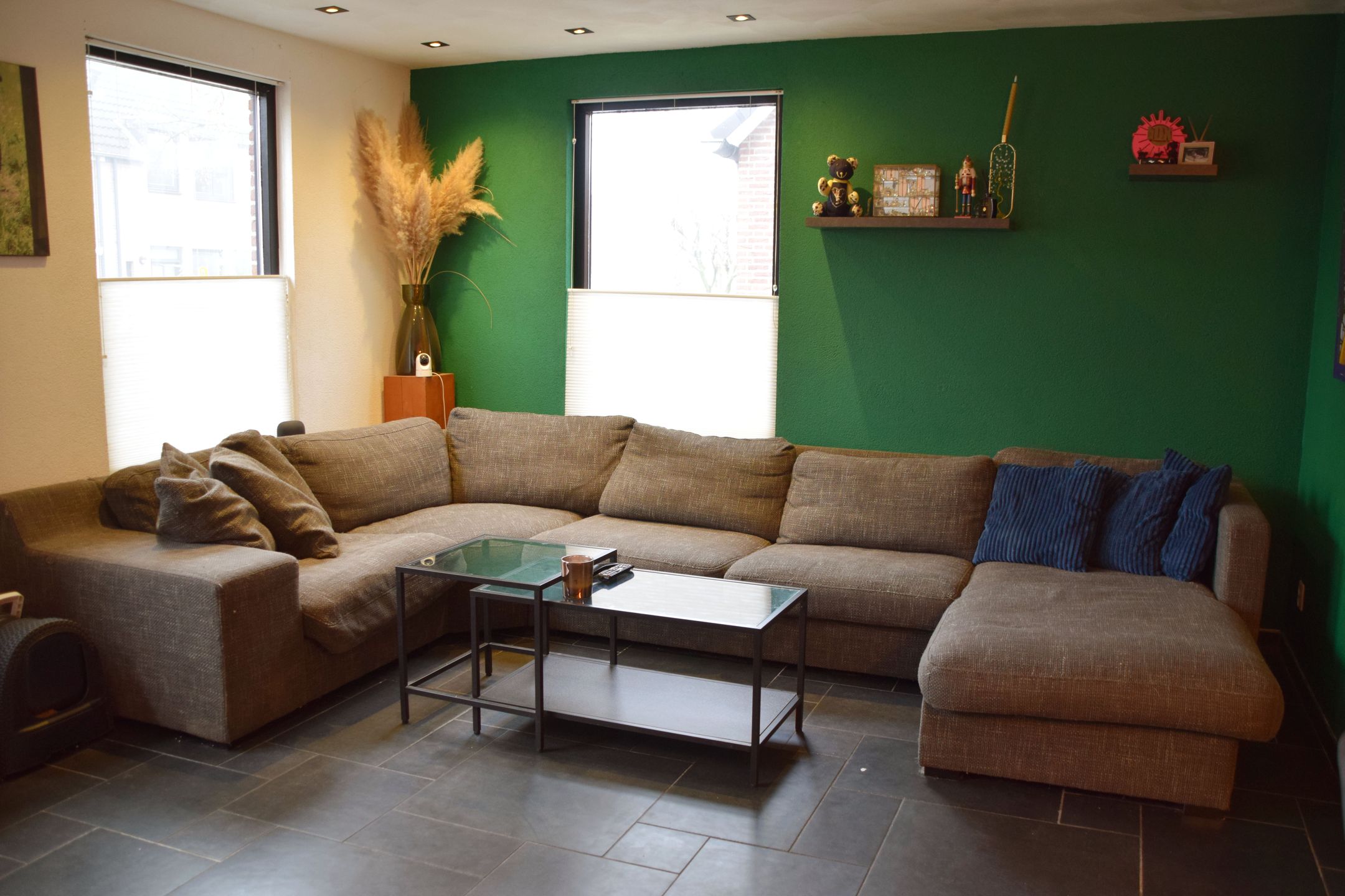 Foto 12 van Kleefkruid 48