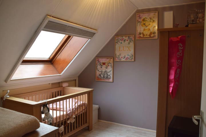 Foto 19 van Kleefkruid 48