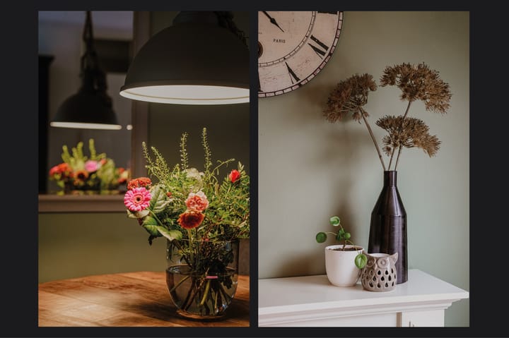 Foto 6 van Coreanna 68