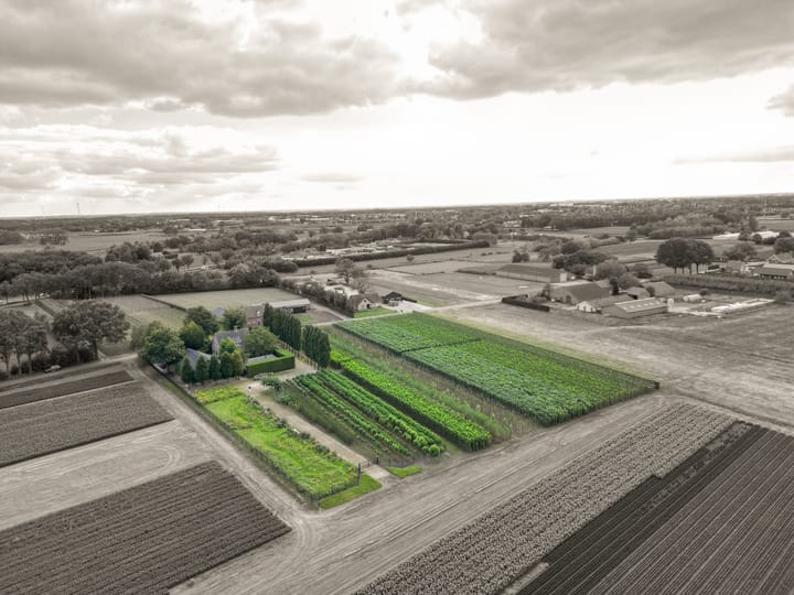 Foto 54 van Stuivezandseweg 59