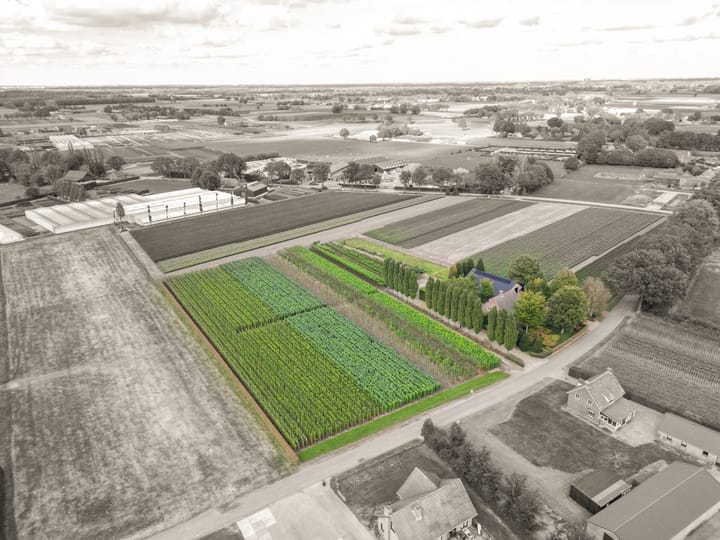 Foto 57 van Stuivezandseweg 59