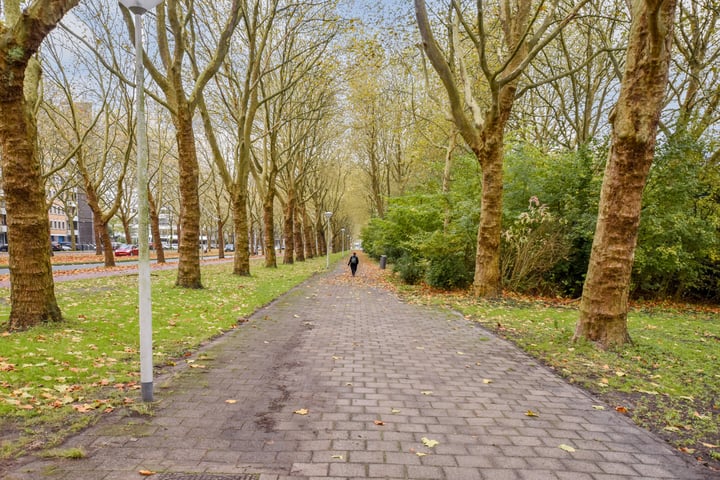 Bekijk foto 13 van Van Nijenrodeweg 458