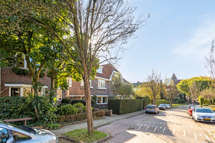 Foto 4 van Paulus Potterstraat 12