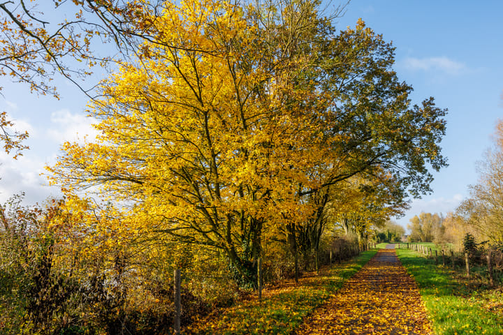 Foto 32 van Nicolaasstraat 7