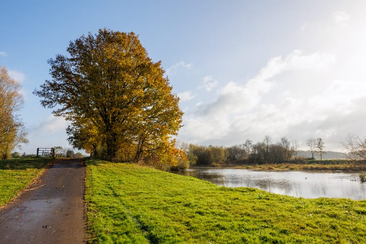 Foto 33 van Nicolaasstraat 7