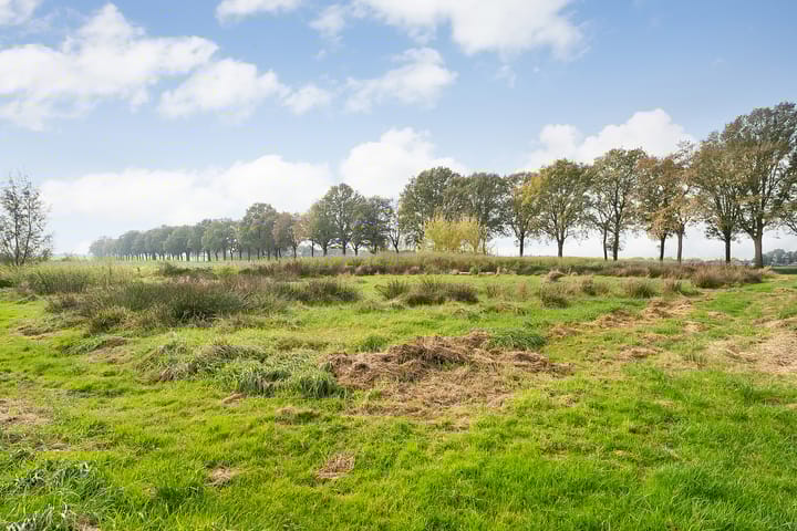 Foto 46 van van Echtenswijk 2