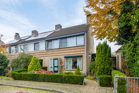 undefined main image