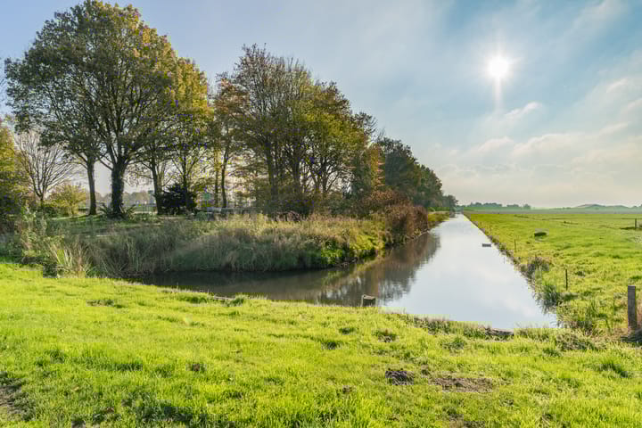 Foto 2 van Kwikstaart 42