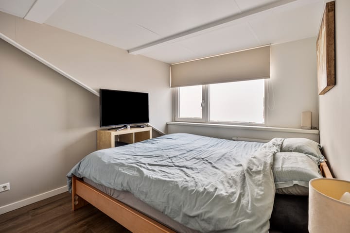 Foto 4 van Dinsdagse Wetering 2