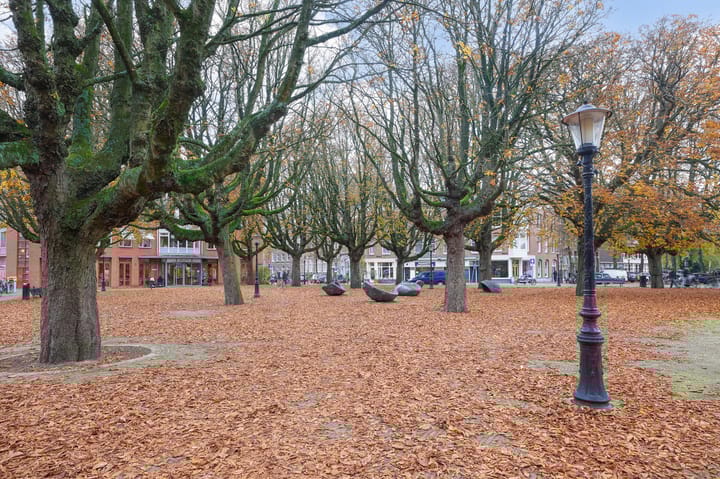 Foto 14 van Derde Oosterparkstraat 259