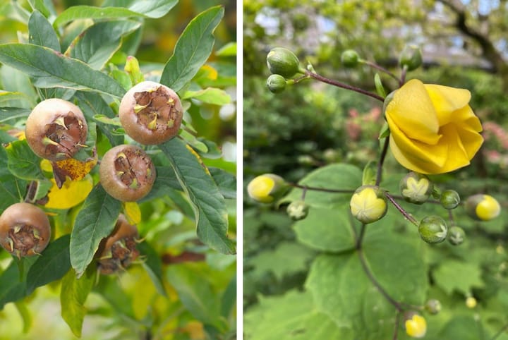 Foto 42 van Burg.van Haersoltestraat 41