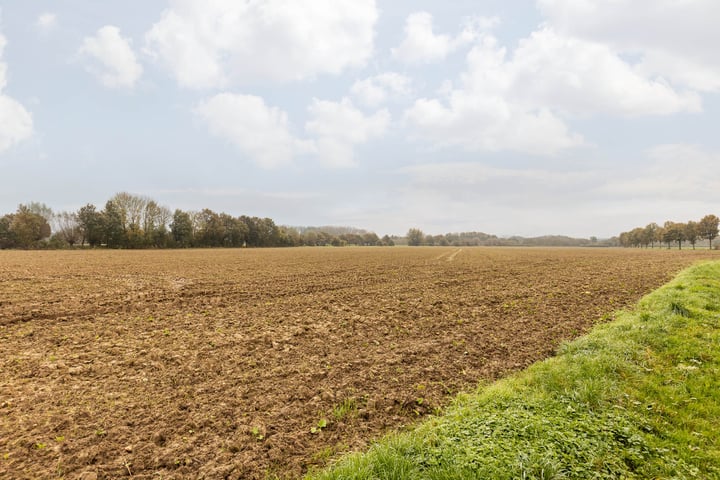 Bekijk foto 31 van Randenborgweg 84