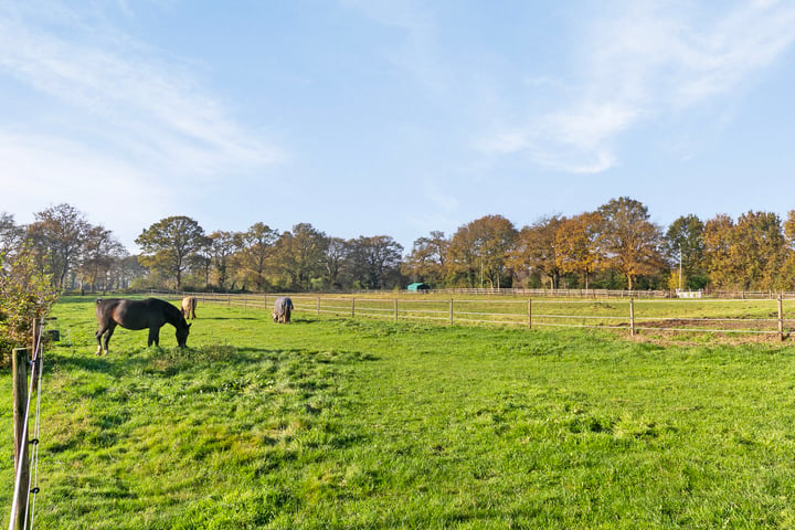 Bekijk foto 40 van Nijend 16