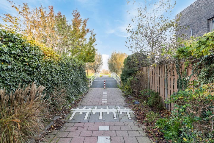 Foto 53 van Walvisbaai 5