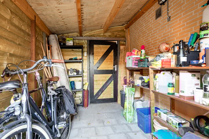 Foto 50 van Walvisbaai 5