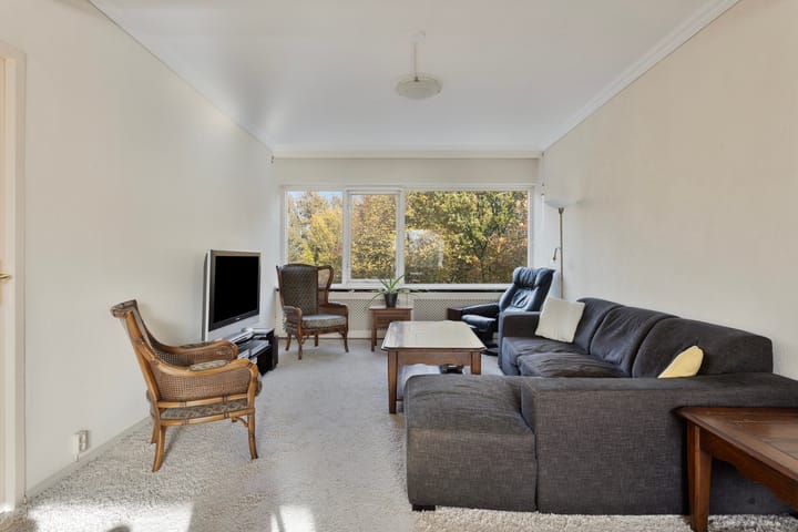 Foto 14 van Professor Cobbenhagenlaan 162