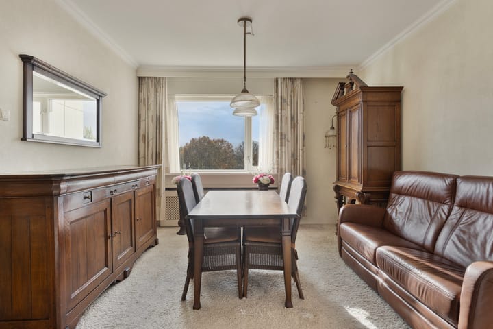 Foto 15 van Professor Cobbenhagenlaan 162