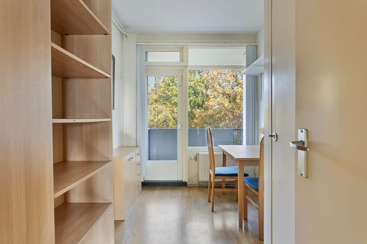 Foto 24 van Professor Cobbenhagenlaan 162