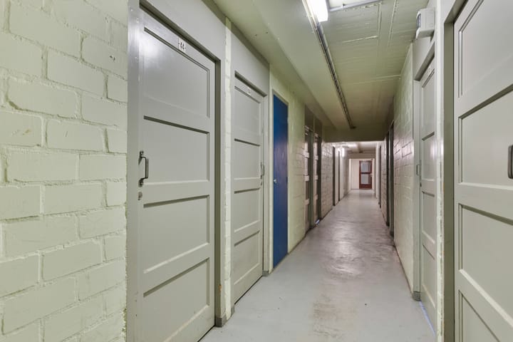 Foto 29 van Professor Cobbenhagenlaan 162