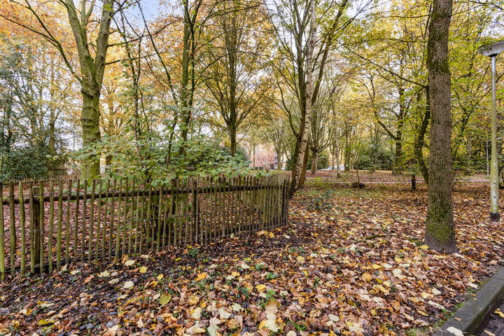 Foto 33 van Professor Cobbenhagenlaan 162