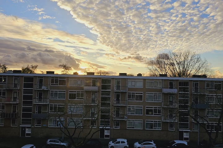 Bekijk foto van Quadenoord 103