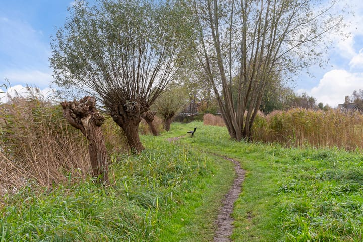 Foto 50 van Karel Doormanlaan 14