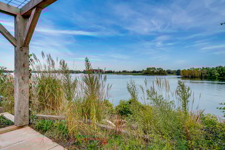 Foto 4 van IJsvogel 75