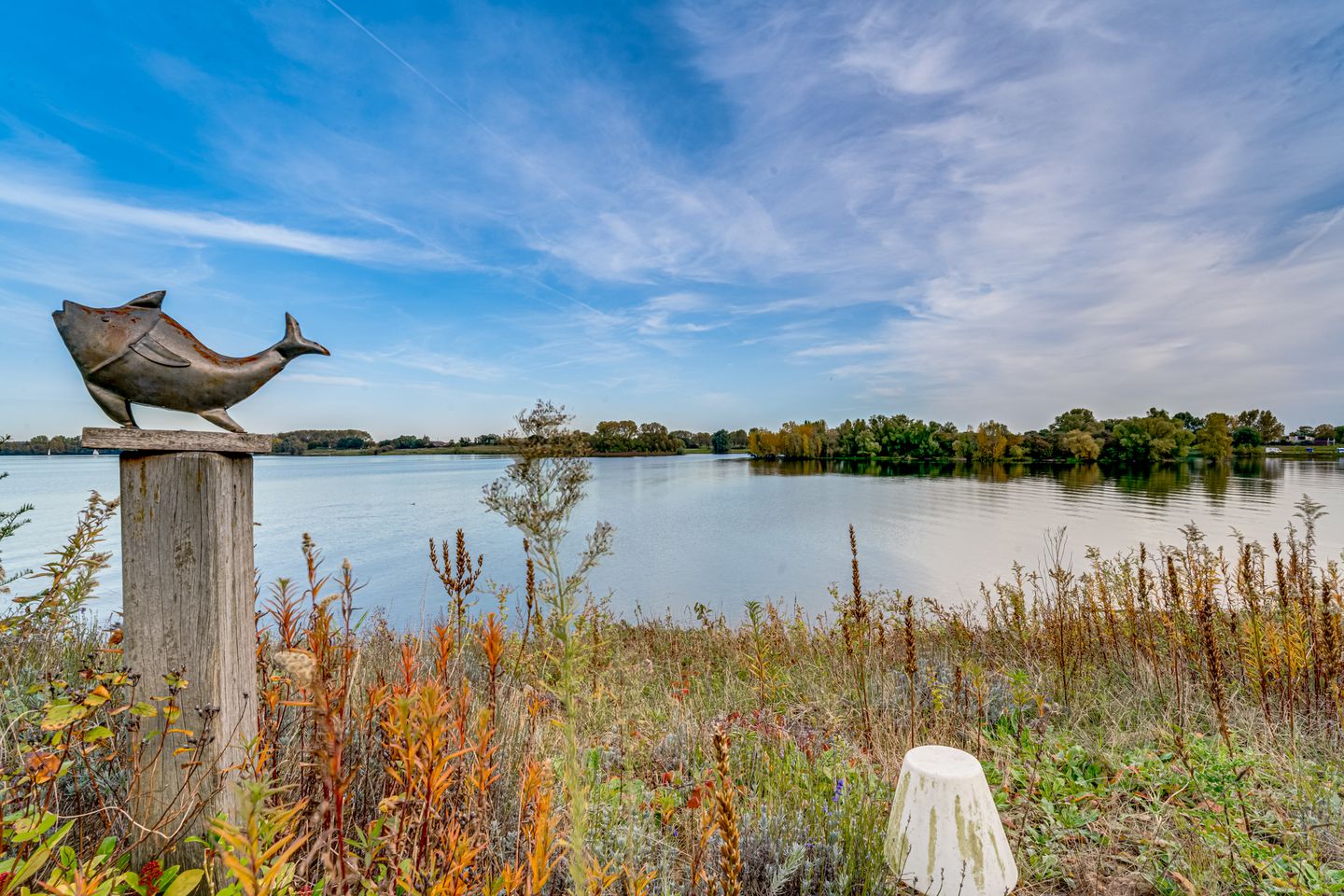 Foto 5 van IJsvogel 75