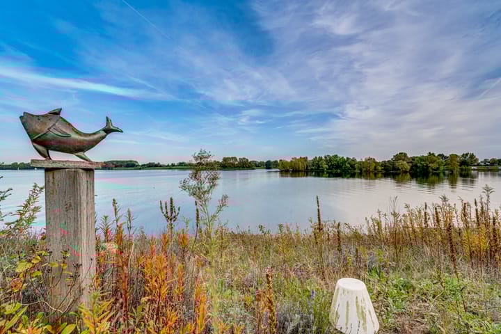 Foto 5 van IJsvogel 75