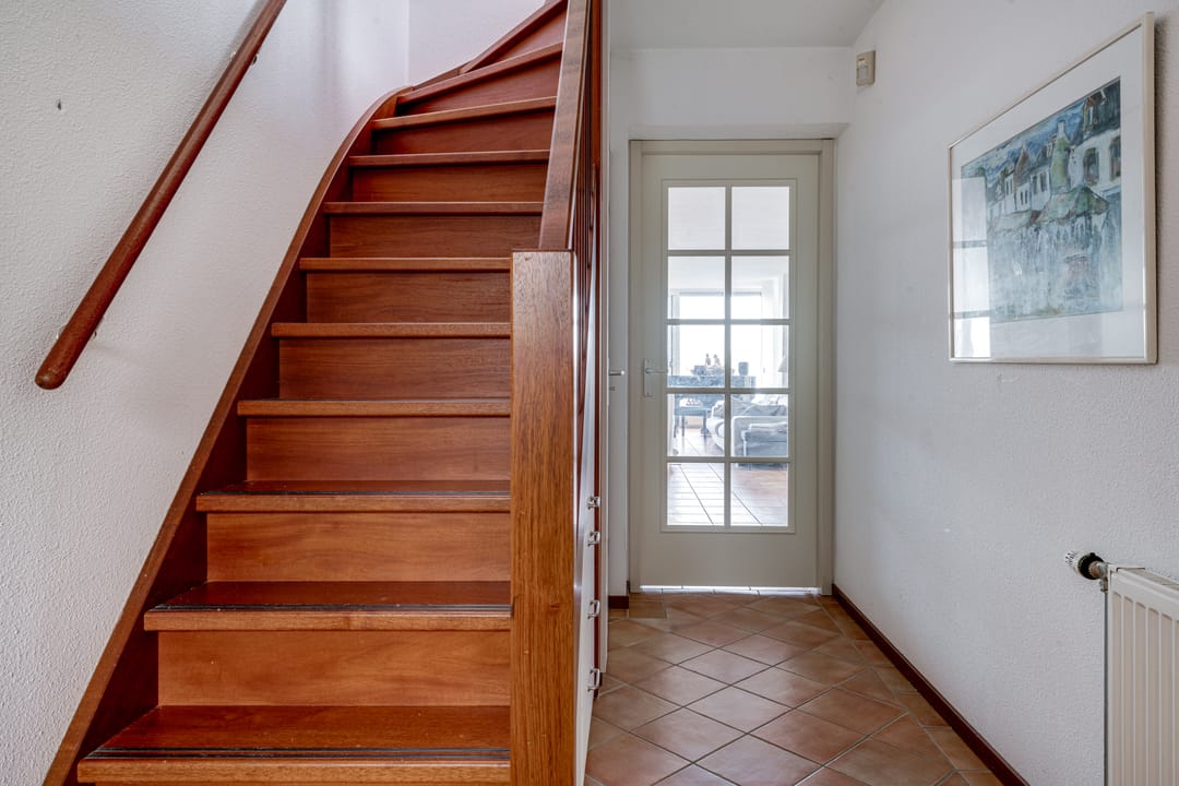 Foto 23 van IJsvogel 75