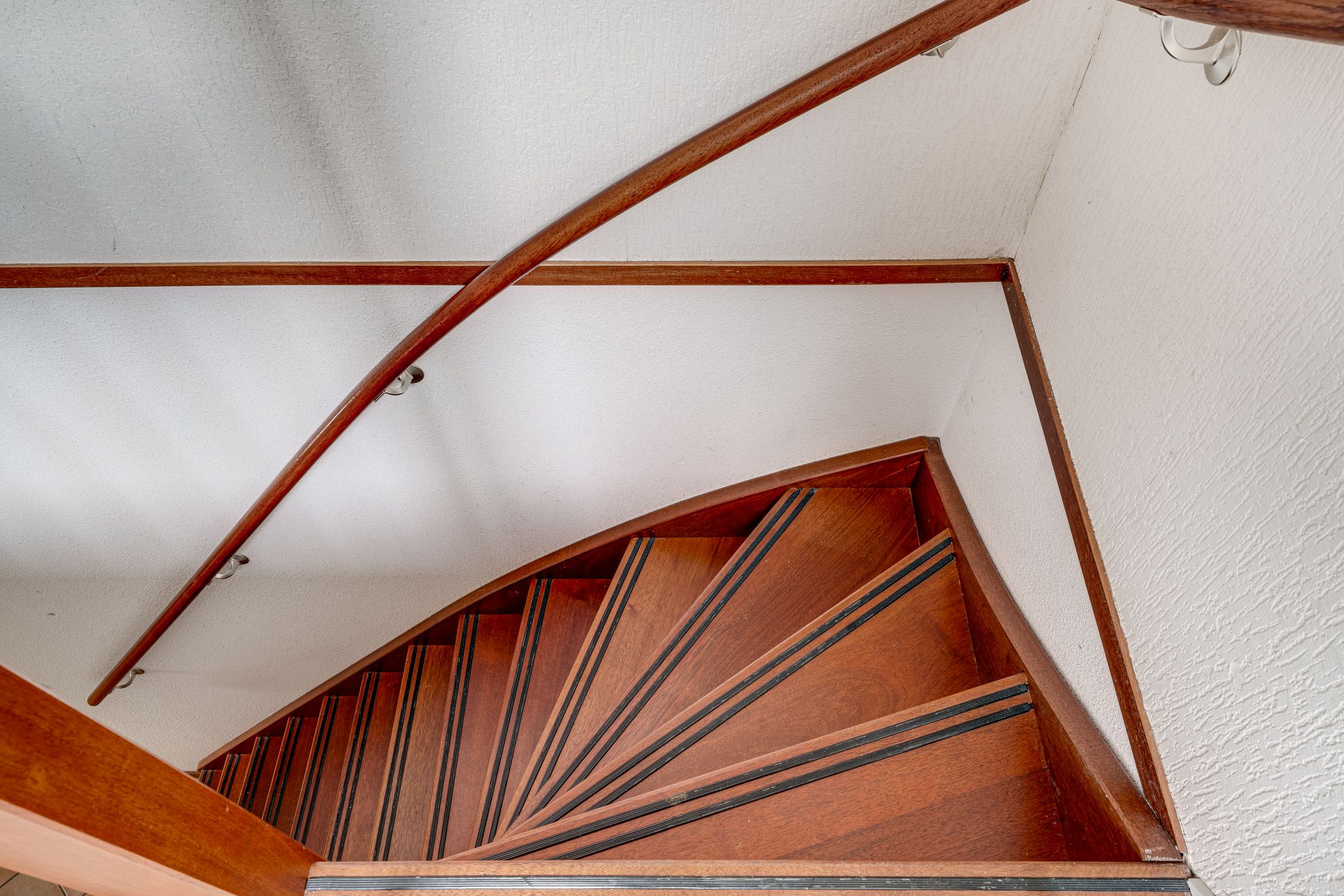 Foto 24 van IJsvogel 75