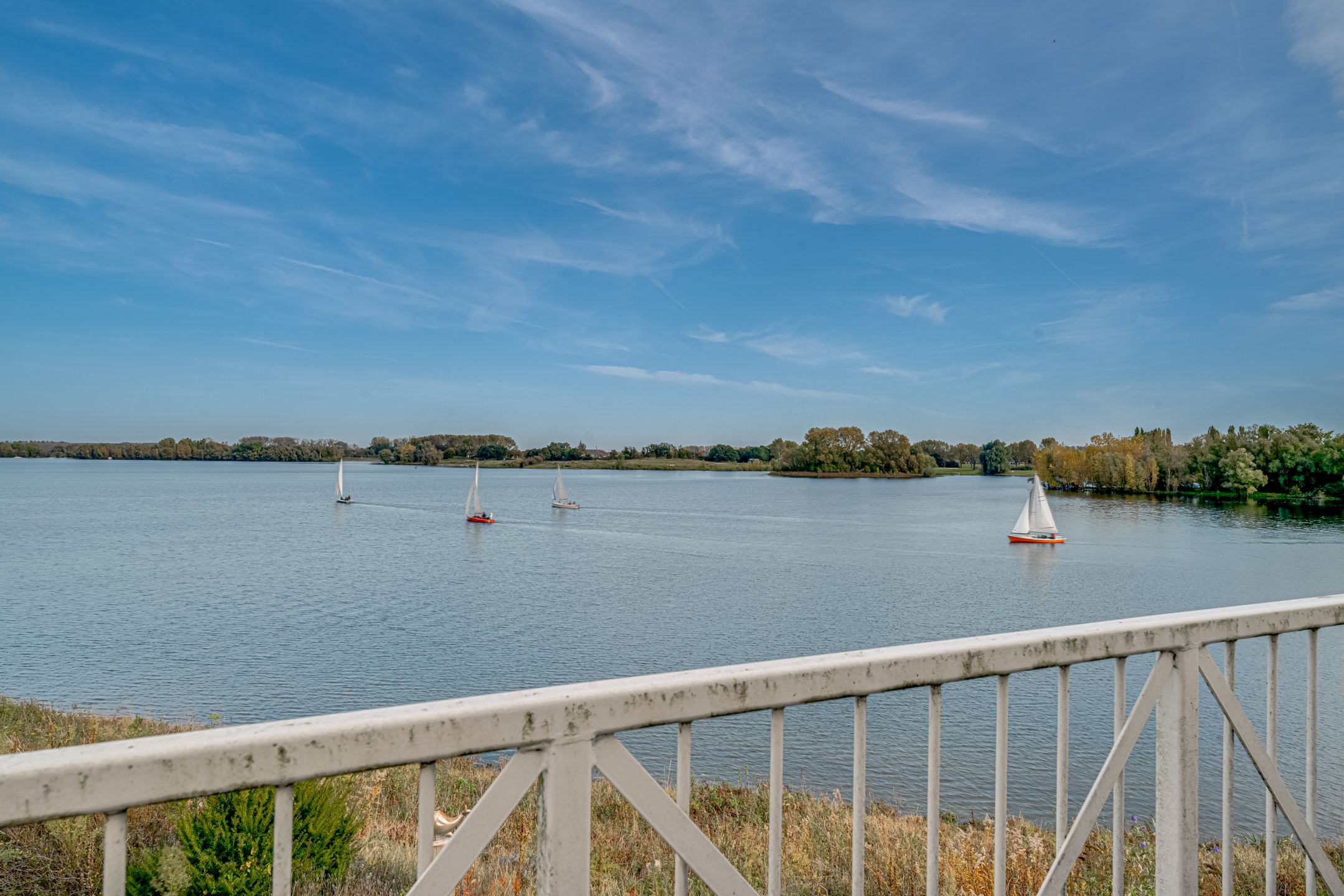 Foto 27 van IJsvogel 75