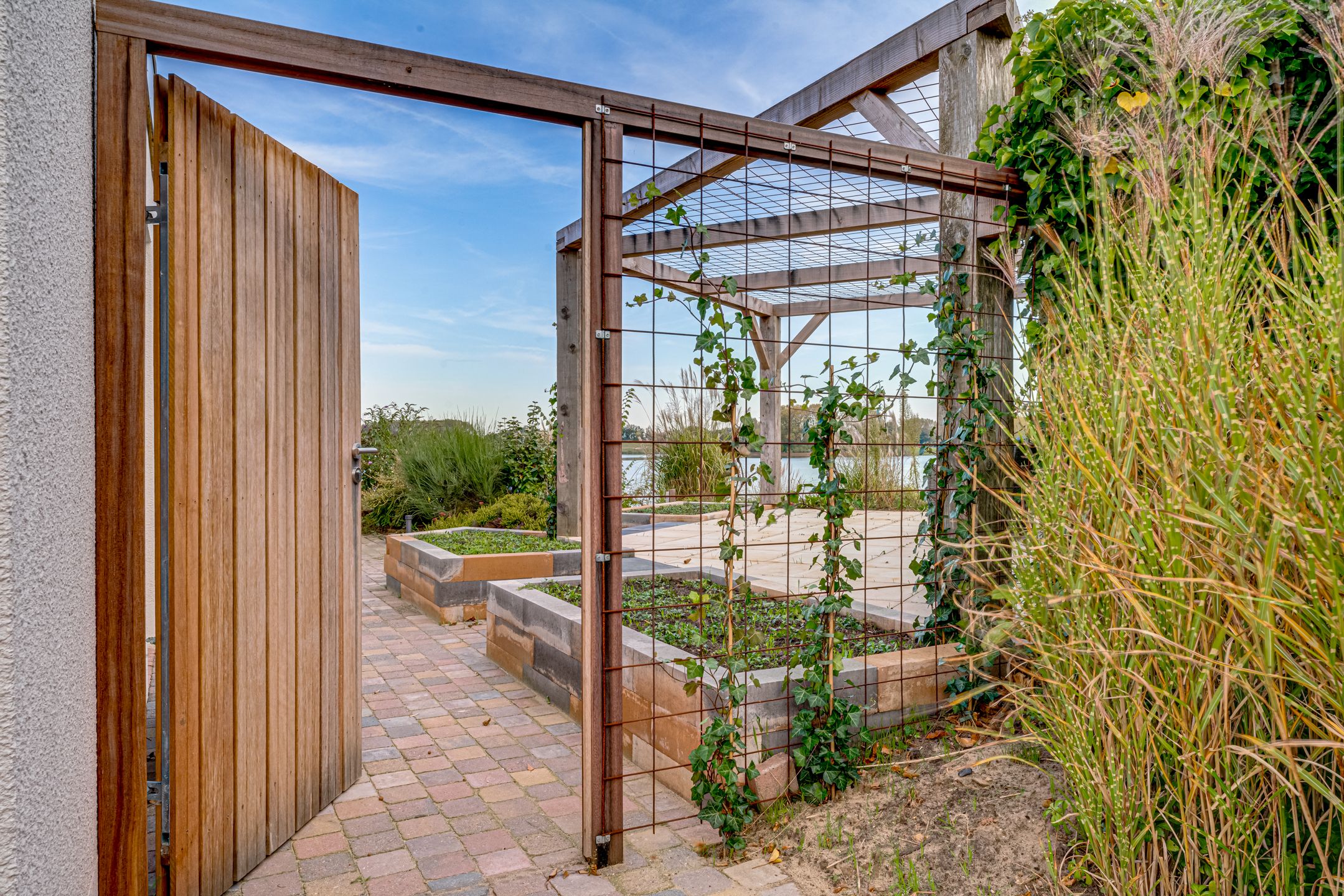 Foto 39 van IJsvogel 75