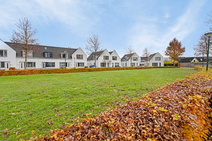 Foto 2 van de Strohuls 9