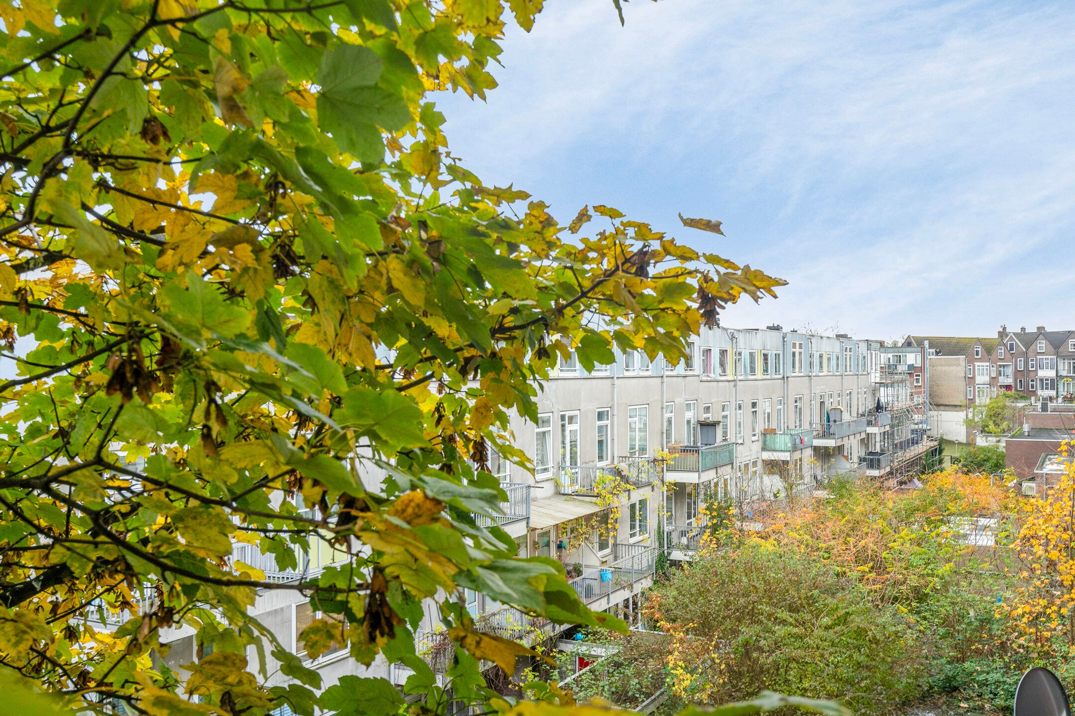 Foto 24 van Beijerlandselaan 140-A02