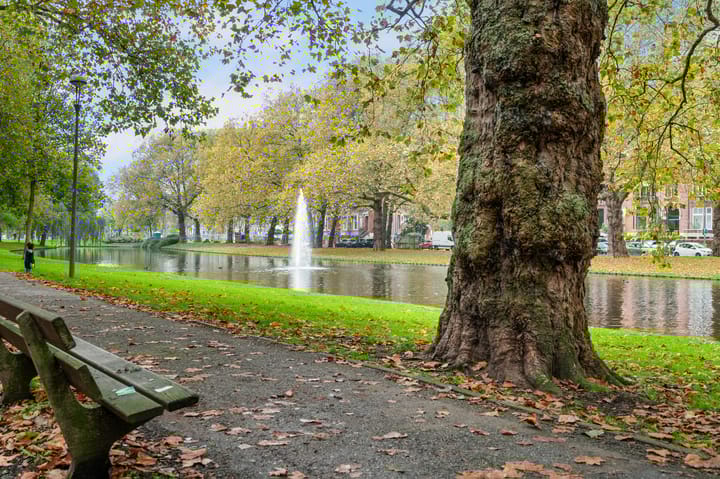 Foto 22 van Heemraadssingel 94-E