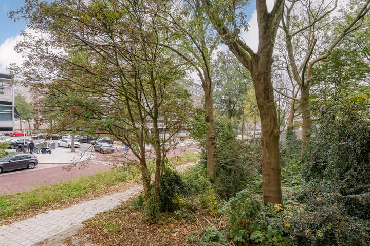 Foto 7 van Van Nijenrodeweg 221