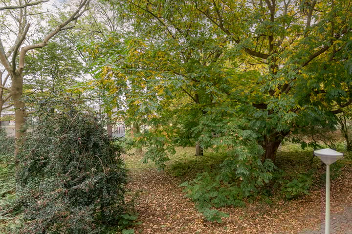 Foto 8 van Van Nijenrodeweg 221