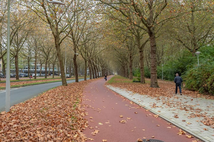 Foto 25 van Van Nijenrodeweg 221