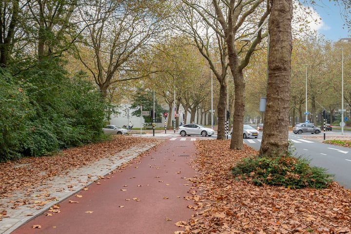 Bekijk foto 26 van Van Nijenrodeweg 221