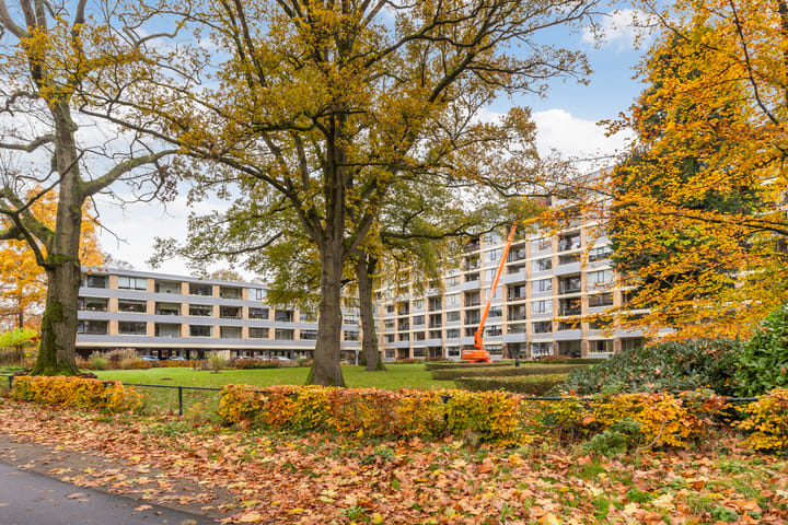 Foto 33 van Rozenhof 82