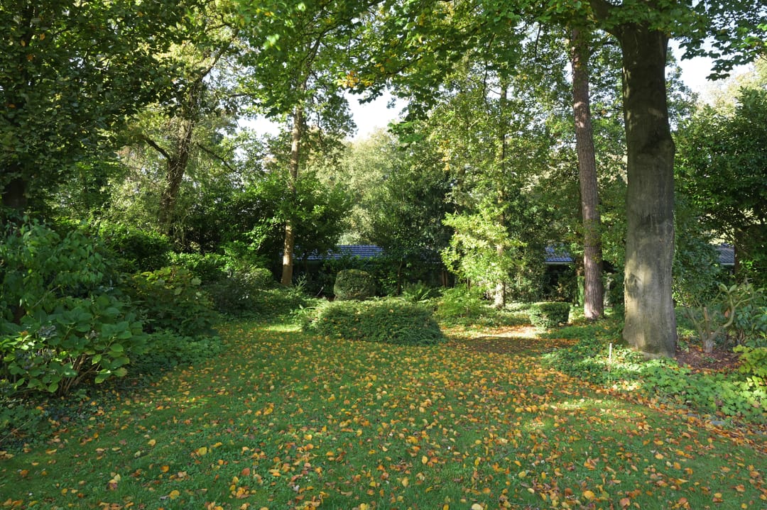 Foto 47 van Badlaan 8